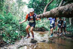 BIB: 
                            <button type="button" onclick="openModal(25374353)" class="btn btn-primary btn-sm float-right btn-popup" data-toggle="modal" data-target=".modal-high-quality">
                        <i class="fas fa-shopping-cart"></i> Add to Cart
                    </button>
                                            <button type="button" onclick="isThisMe(25374353, true)" class="btn btn-success btn-sm float-right btn-popup btn-isme hidden" data-toggle="tooltip" data-placement="bottom" title="นี่คือรูปของคุณใช่ไหม คลิกที่นี่เพื่อเอาเข้าอัลบั้ม">
                        <i class="fas fa-plus"></i> Add to album
                    </button>
                    <button type="button" onclick="isThisMe(25374353, false)" class="btn btn-warning btn-sm float-right btn-popup btn-isnotme hidden">
                        <i class="fas fa-ban"></i> Remove from album
                    </button>